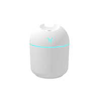 Aromatherapy humidifier with LED night lamp