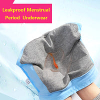 Leakproof Menstrual Period Panties - Various Colors