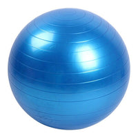 Gymnastic Exercise Ball with Pump