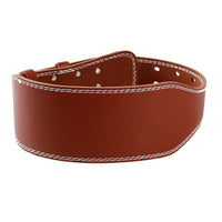 Powerlifting lumbar back protection belt
