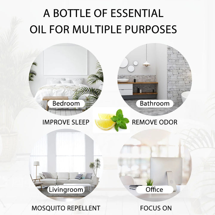 Liquid supplement for home fragrance